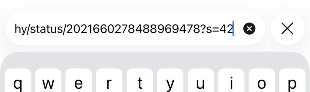 Screenshot that shows a partial URL in Safari